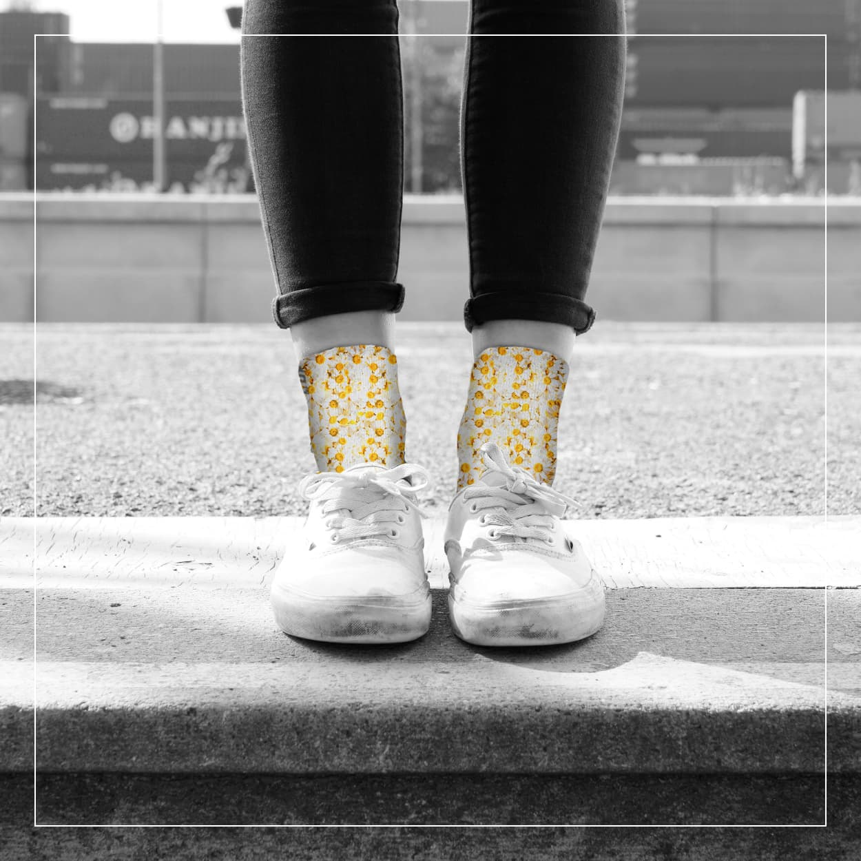 LUF SOX Quarter Daisies