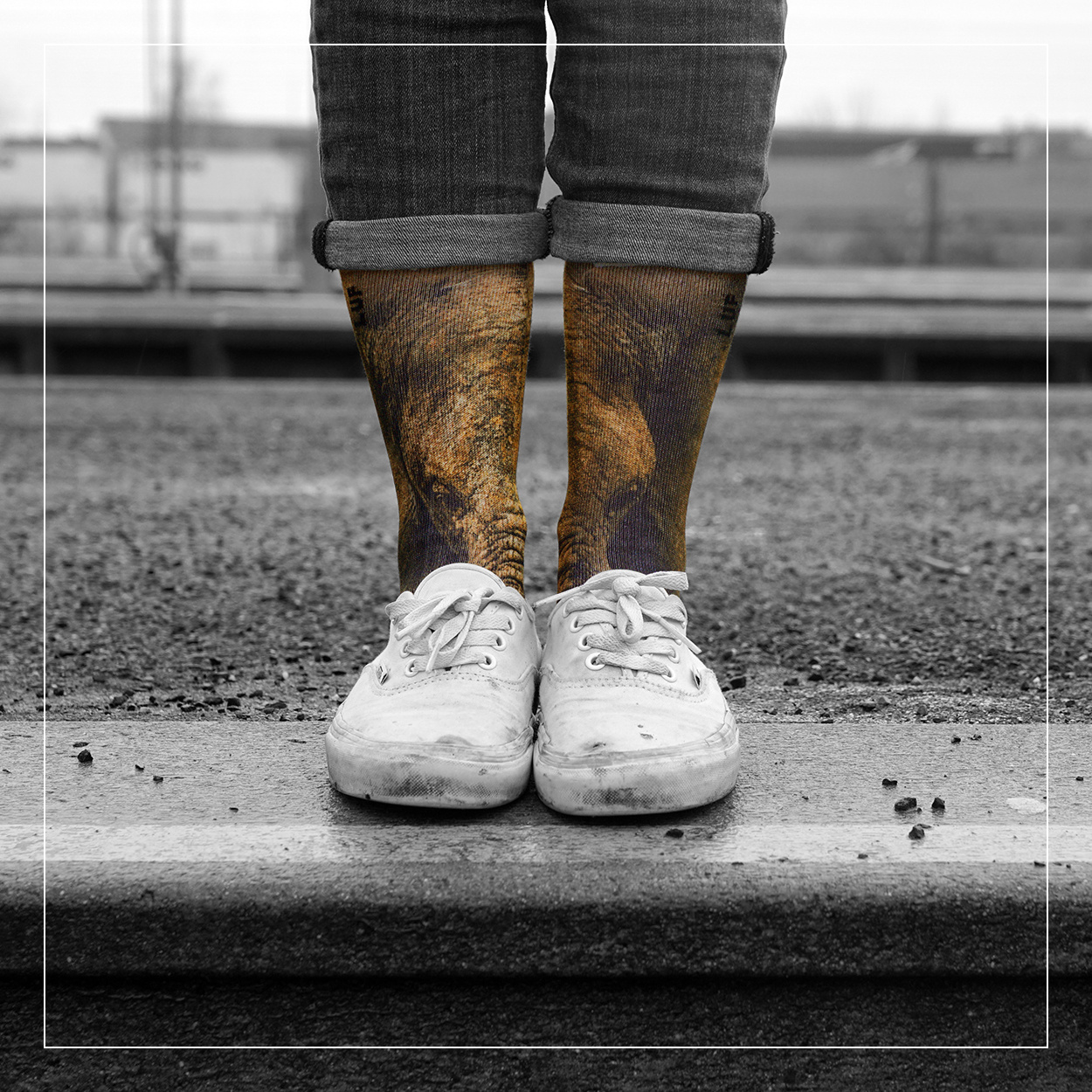 LUF SOX Classics Elephant